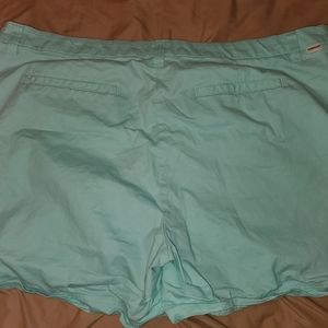 Plus size Magellan Shorts Teal in color